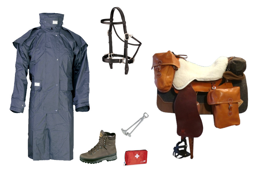 horse hay eat foot thoroughbred arabian foal